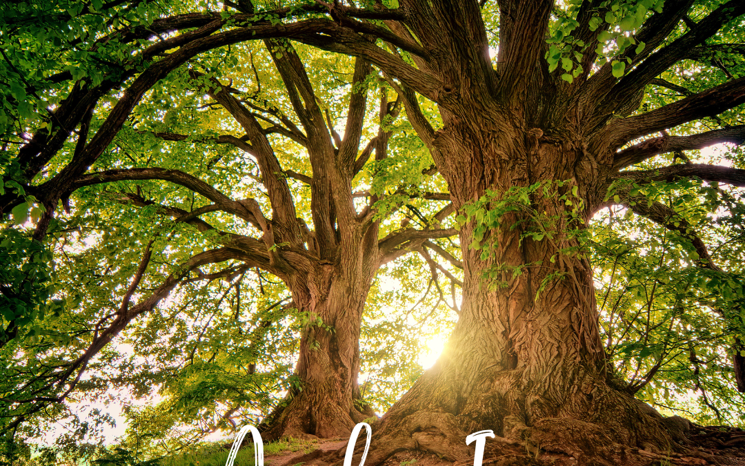 Purpose Is a Practice