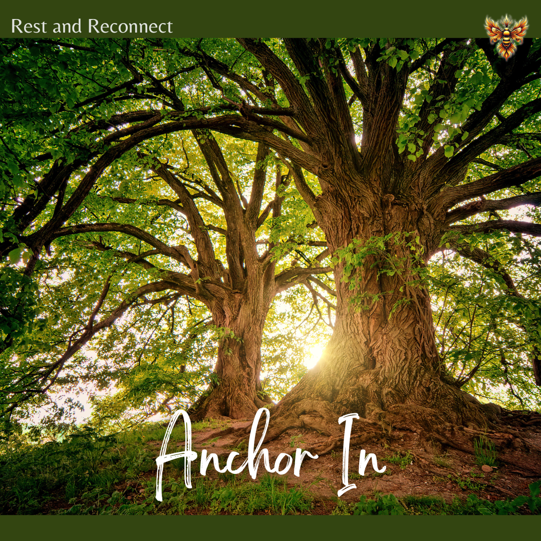 Release and Let Go (4)