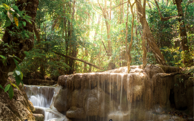 From Obligation to Inspiration