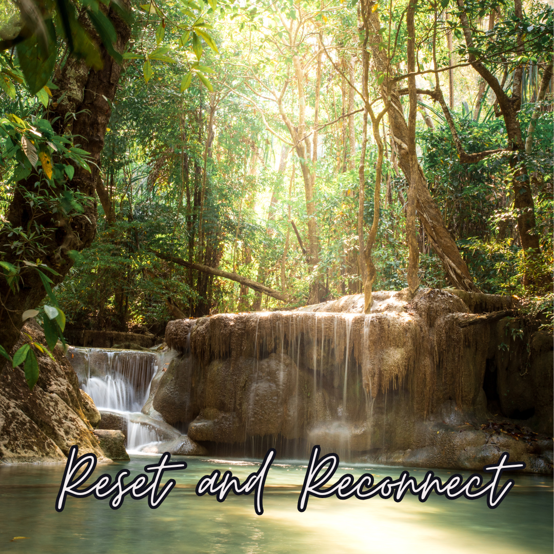 Reset & reconnect 1 (3)