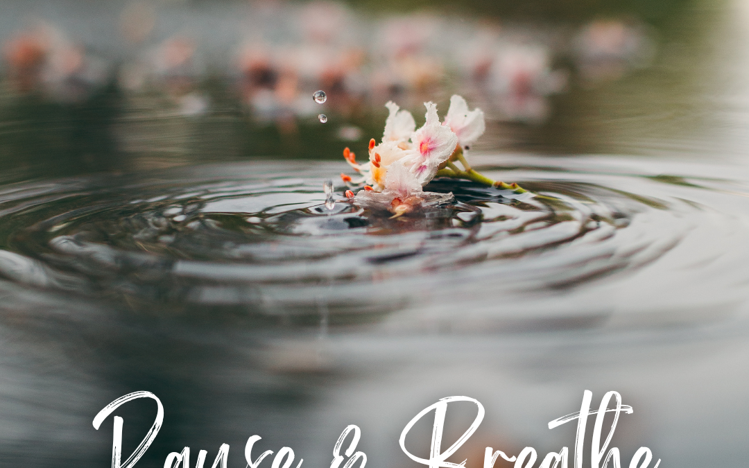 The Gift of Stillness